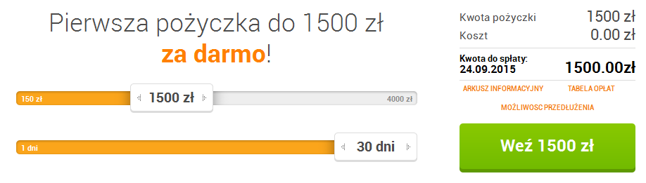 net-credit-strona